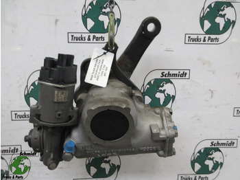 : صورة رأس الصفحة