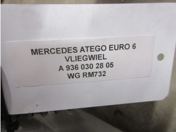 دولاب الموازنة - شاحنة Mercedes-Benz ATEGO A 936 030 28 05 VLIEGWIEL EURO 6: صورة 3