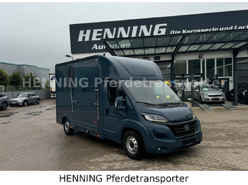 شاحنة نقل المواشي FIAT Ducato