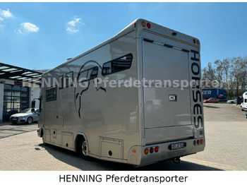 MAN TGL PFERDETRANSPORTER RJH MAN TGL PFERDETRANSPORTER RJH: صورة 4