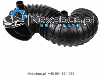 : صورة رأس الصفحة