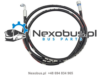 : صورة رأس الصفحة