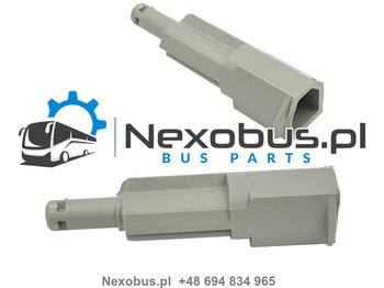 : صورة رأس الصفحة