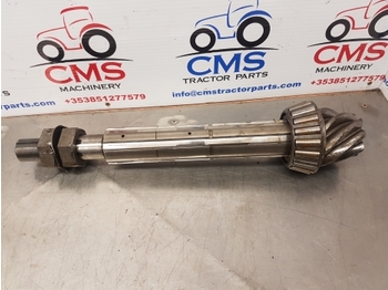 : صورة رأس الصفحة