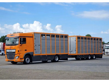 شاحنة نقل المواشي DAF XF 460