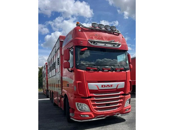 شاحنة نقل المواشي DAF XF 530