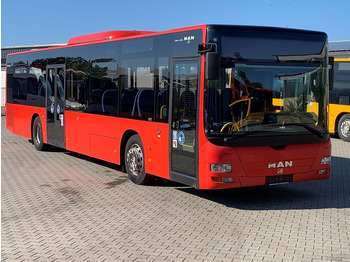 حافلة المدينة MAN Lion's City A20