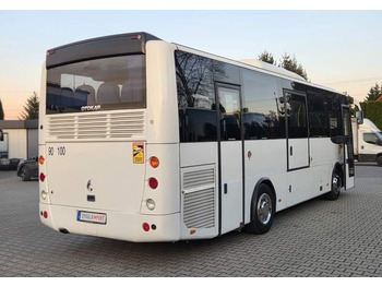 حافلة صغيرة, ميكروباص Otokar VECTIO / SPROWADZONY Z POŁUDNIA FRANCJI/ MANUAL: صورة 2 حافلة صغيرة, ميكروباص Otokar VECTIO / SPROWADZONY Z POŁUDNIA FRANCJI/ MANUAL: صورة 2