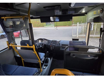 حافلة صغيرة, ميكروباص Otokar VECTIO / SPROWADZONY Z POŁUDNIA FRANCJI/ MANUAL: صورة 3 حافلة صغيرة, ميكروباص Otokar VECTIO / SPROWADZONY Z POŁUDNIA FRANCJI/ MANUAL: صورة 3