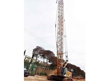 : صورة رأس الصفحة