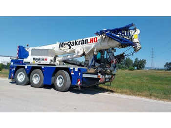 رافعة لجميع التضاريس LIEBHERR LTC 1045-3.1