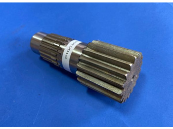 : صورة رأس الصفحة