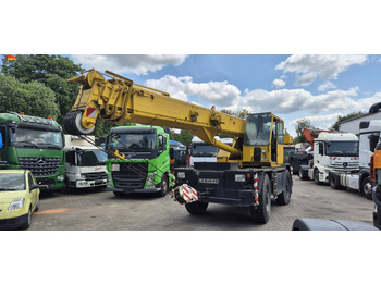 رافعة الطرق الوعرة LIEBHERR
