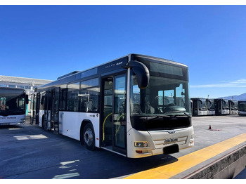 حافلة المدينة MAN Lion's City