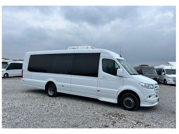 حافلة صغيرة, ميكروباص Mercedes-Benz Sprinter 519 V6: صورة 3