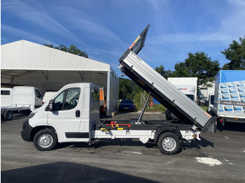 جديدة قلاب صغير CITROEN ALTES MODELL JUMPER L3 1+2 165PS | SCATTOLINI DREISEITENKIPPER: صورة 3 جديدة قلاب صغير CITROEN ALTES MODELL JUMPER L3 1+2 165PS | SCATTOLINI DREISEITENKIPPER: صورة 3