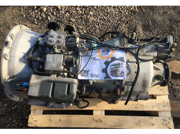 : صورة رأس الصفحة