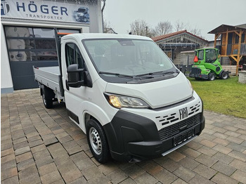 قلاب صغير FIAT Ducato L3 MAXI 140 Kipper AHK TFT Kamera Klima...: صورة 3 قلاب صغير FIAT Ducato L3 MAXI 140 Kipper AHK TFT Kamera Klima...: صورة 3