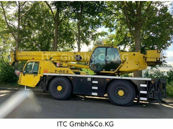 شاحنة كرين Demag AC 35 Telex 1-Hand: صورة 3