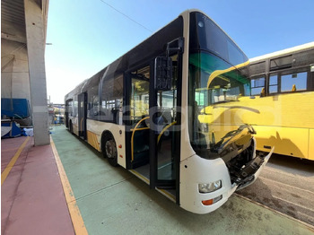 حافلة المدينة MAN Lion's City