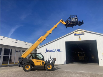 رافعة تلسكوبية Dieci ICARUS 40.17: صورة 5