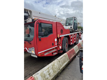 رافعة لجميع التضاريس TEREX