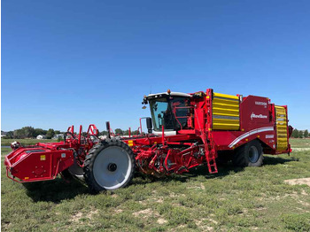 حصادة البطاطس GRIMME