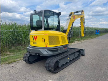 جديدة حفارة مُصَّغرة WACKER NEUSON ET 58 | 2022: صورة 5