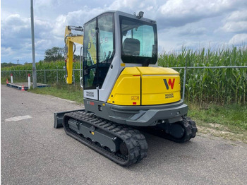جديدة حفارة مُصَّغرة WACKER NEUSON ET 58 | 2022: صورة 2