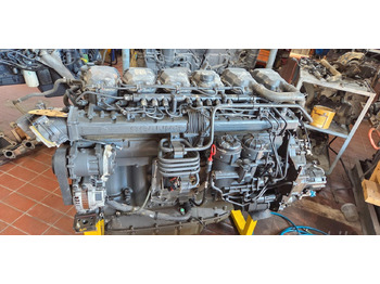 : صورة رأس الصفحة