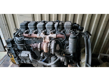 : صورة رأس الصفحة