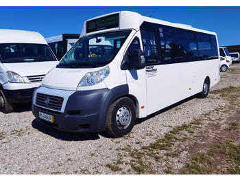 حافلة المدينة FIAT Ducato