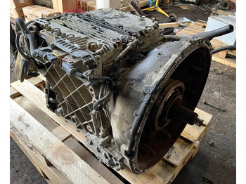 : صورة رأس الصفحة