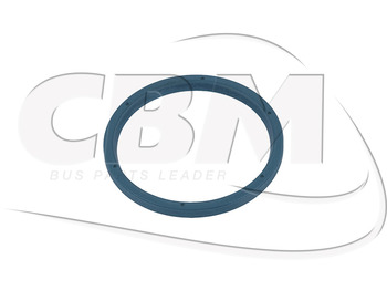 مقود IRISBUS