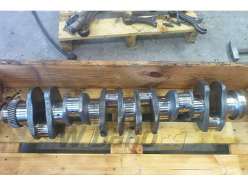 : صورة رأس الصفحة