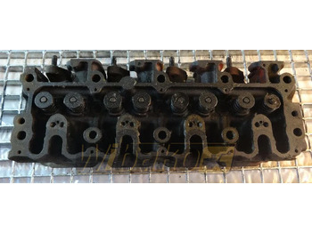 : صورة رأس الصفحة