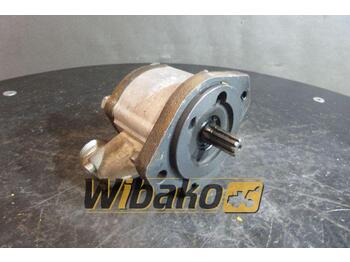 مضخة هيدروليكية REXROTH