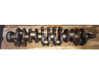 : صورة رأس الصفحة