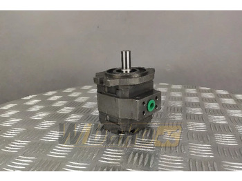 : صورة رأس الصفحة