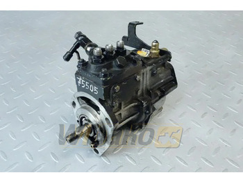 : صورة رأس الصفحة