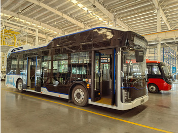 : صورة رأس الصفحة