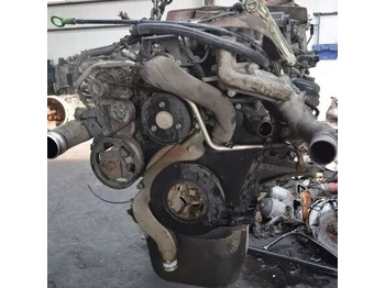 : صورة رأس الصفحة
