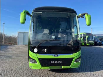 Man Lion's Coach Man Lion's Coach: صورة 2