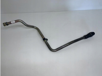 : صورة رأس الصفحة