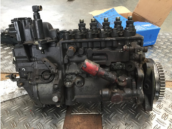 : صورة رأس الصفحة