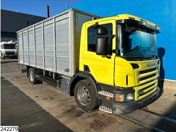 شاحنة نقل المواشي Scania P 320 EURO 5, Manual transmission, Retarder: صورة 3 شاحنة نقل المواشي Scania P 320 EURO 5, Manual transmission, Retarder: صورة 3