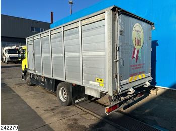 شاحنة نقل المواشي Scania P 320 EURO 5, Manual transmission, Retarder: صورة 2 شاحنة نقل المواشي Scania P 320 EURO 5, Manual transmission, Retarder: صورة 2