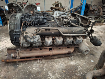 : صورة رأس الصفحة