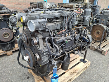 : صورة رأس الصفحة