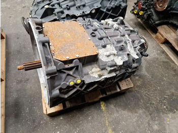 : صورة رأس الصفحة